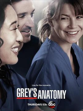 实习医生格蕾 第十季 Grey&#039;s Anatomy Season 10