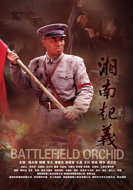 湘南起义海报图片