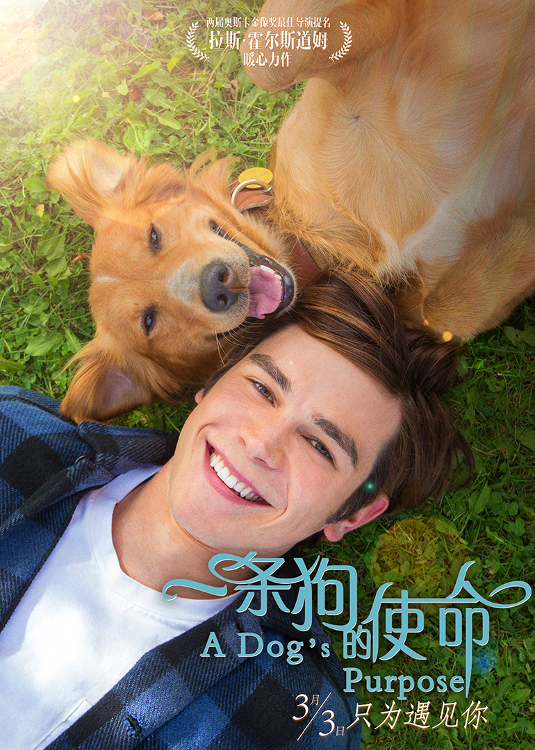 一条狗的使命(普通话版)海报图片