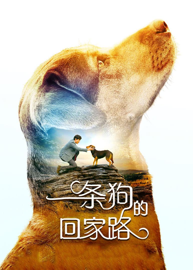 一条狗的回家路(普通话版)海报图片