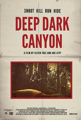 深黑峡谷海报图片