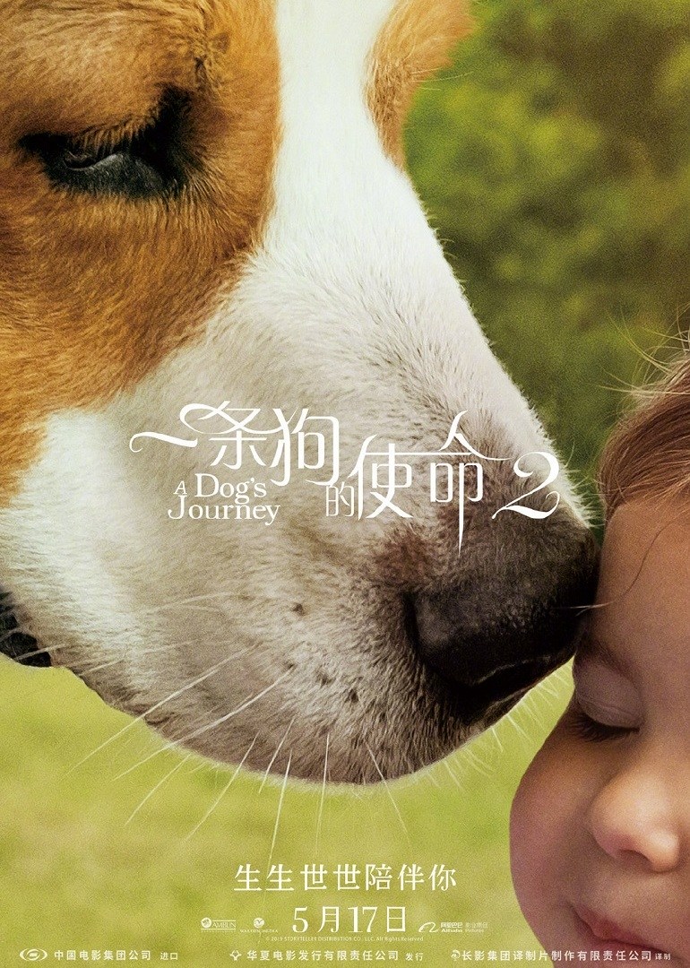 一条狗的使命2(普通话版)海报图片