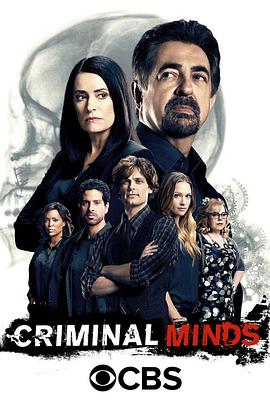 犯罪心理 第十二季手机在线免费观看