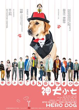 神犬小七 第一季 (DVD版）海报图片