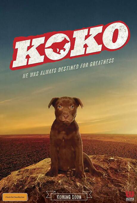 Koko:黑犬历险记