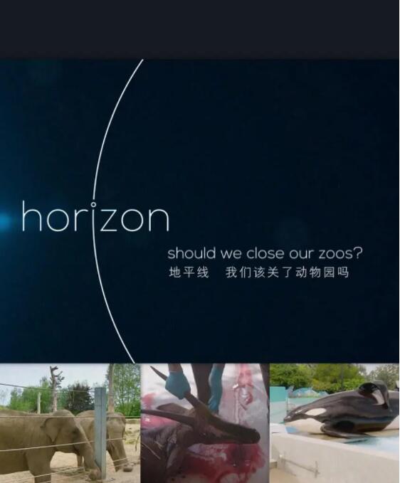 BBC地平线：我们该关了动物园吗？海报图片