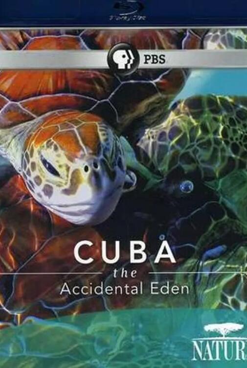 古巴：意外的伊甸园海报图片
