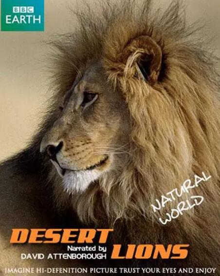 自然世界：沙漠狮